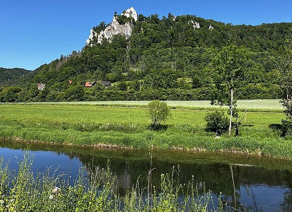 An der jungen Donau