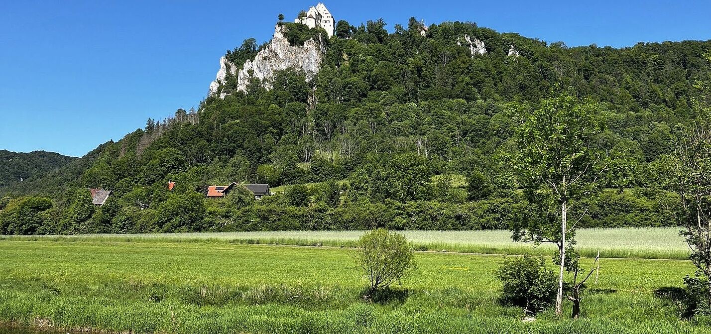 An der jungen Donau An der jungen Donau